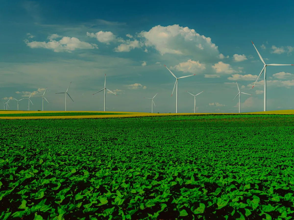 Aerogeneradores sobre un campo cultivado